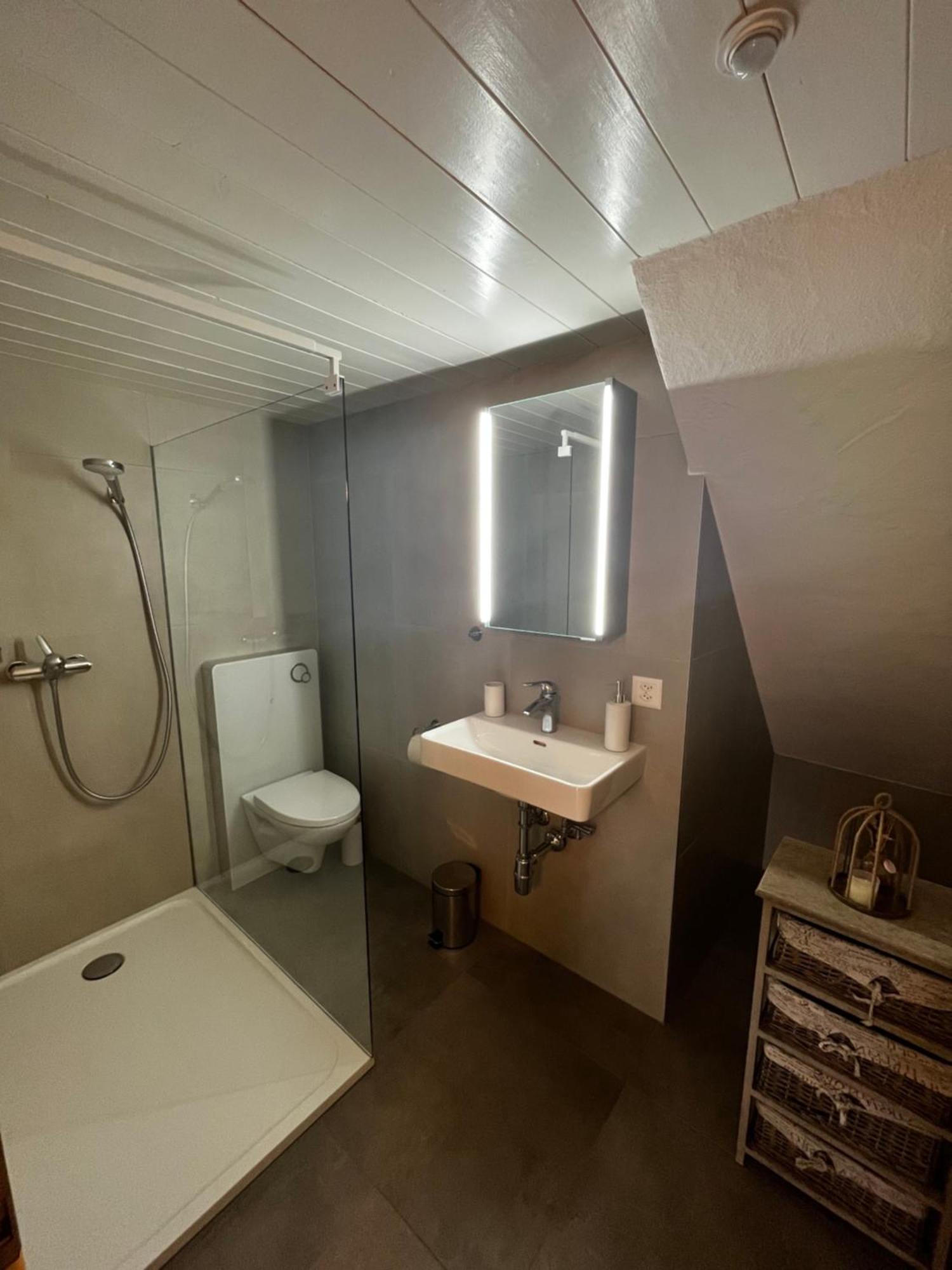 Raccard Renove Hotel Orsières Buitenkant foto